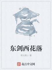 小说：东剑西花落，作者：南北隐士