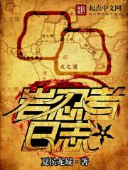 小说：岩忍者日志，作者：夏侯龙城