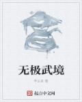 小说：无极武境，作者：李义卓