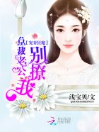 小说：宠妻狂魔：总裁老公别撩我，作者：浅宝贝