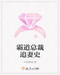 小说：霸道总裁追妻史，作者：令狐蝶璐