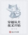 小说：穿越从犬夜叉开始，作者：暗影飞羽