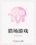 小说：猎场游戏，作者：甜宝风雨