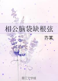 小说：相公脑袋缺根弦，作者：齐某