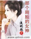 小说：那个刷脸的女神，作者：流利瓶