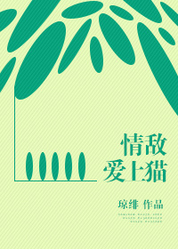 小说：情敌爱上猫[娱乐圈]，作者：琼绯