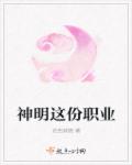小说：神明这份职业，作者：花色妖娆