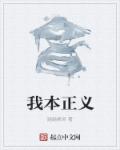 小说：我本正义，作者：跳跳精灵