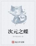 小说：次元之蝶，作者：聆听我的哭泣