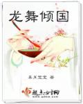 小说：龙舞倾国，作者：本肖宝宝