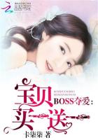 小说：BOSS夺爱：宝贝买一送一，作者：卡柒柒