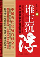 小说：谁主沉浮1：从八品乡官到省级高官（中国当代官场百科全书），作者：王鼎三