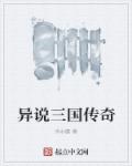 小说：异说三国传奇，作者：冷水瞳
