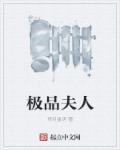 小说：极品夫人，作者：雨月星玥