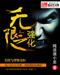 小说：无限之强化，作者：纯洁滴小龙