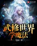 小说：武修世界学魔法，作者：尘珍