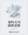 小说：龙吟天穹夜郎悲歌，作者：南山墨农