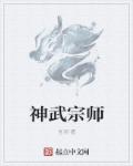 小说：神武宗师，作者：言冈