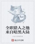 小说：全职猎人之他来自暗黑大陆，作者：大份牛排免费