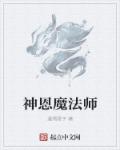 小说：神恩魔法师，作者：漫溯星宇