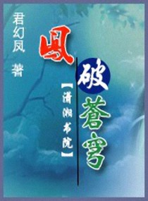 小说：凤破苍穹，作者：君幻凤