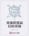 小说：英雄联盟最后的英雄，作者：鑫爷111