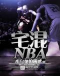 小说：宅混NBA，作者：小乌龟的困惑