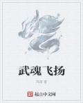 小说：武魂飞扬，作者：鸿清