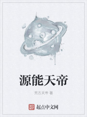 小说：源能天帝，作者：荒古天帝