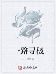 小说：一路寻极，作者：君子绰绰