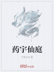 小说：药宇仙庭，作者：沉鱼化龙