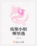 小说：废柴小姐哪里逃，作者：仇狸