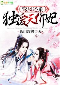 小说：鸾凤还巢，独爱天价妃！，作者：孤山野鹤