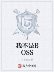 小说：我不是BOSS，作者：妄言成空