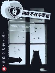 小说：我拍戏不在乎票房，作者：别人家的小猫咪