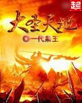 小说：大圣天地，作者：一代枭王