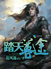 小说：踏天尊途，作者：追风逐云