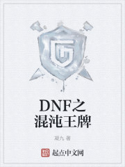 小说：DNF之混沌王牌，作者：凝九