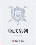 小说：盛武皇朝，作者：小兵乱武