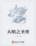 小说：大明之圣尊，作者：卡尔王