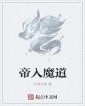 小说：帝入魔道，作者：半纸文章