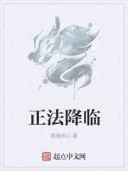 小说：正法降临，作者：镇海扶心