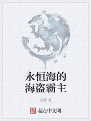 小说：永恒海的海盗霸主，作者：洪鹰