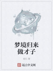 小说：梦境归来做才子，作者：暗石