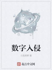 小说：数字入侵，作者：白面黑厮