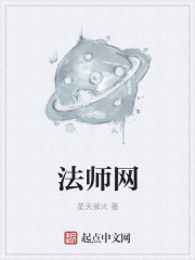 小说：法师网，作者：星天萤火