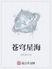 小说：苍穹星海，作者：钢铁轰鸣