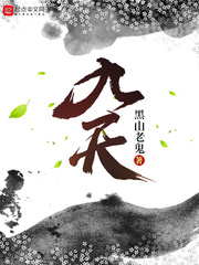 小说：九天，作者：黑山老鬼