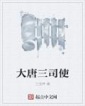 小说：大唐三司使，作者：三宝神