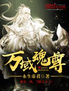 小说：万域魂尊，作者：永生帝君